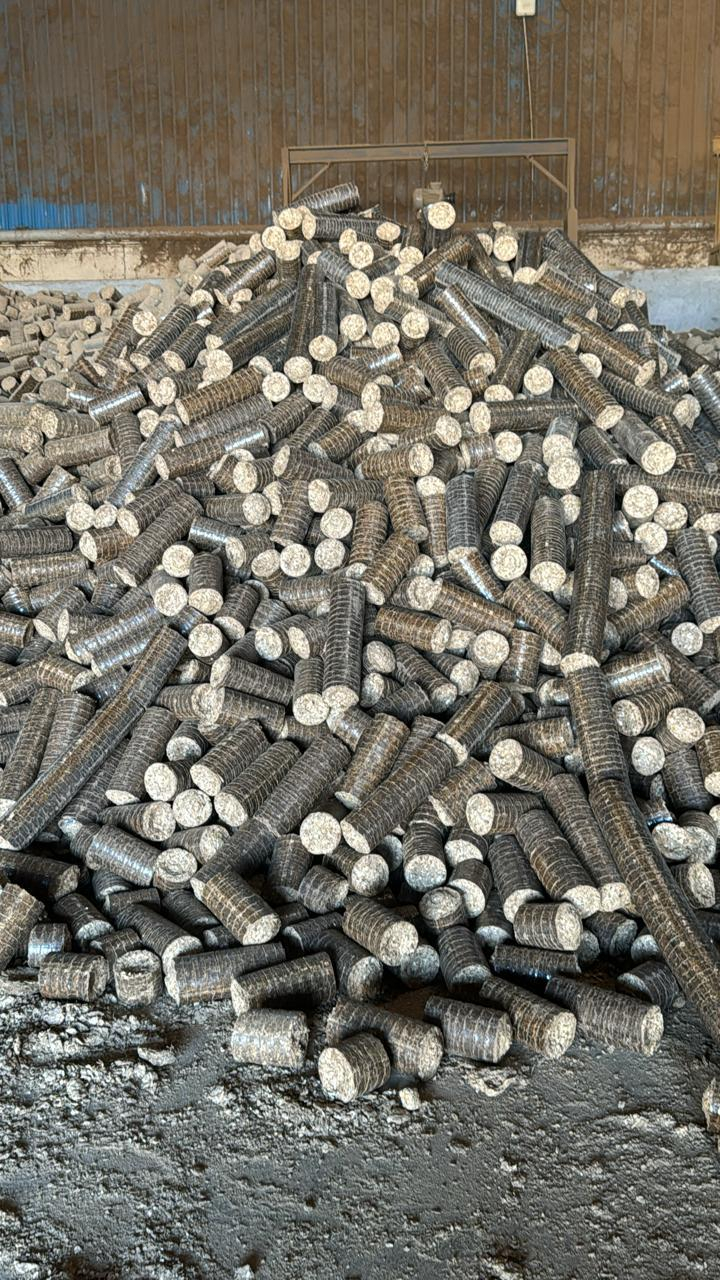  Biocoal                                                              