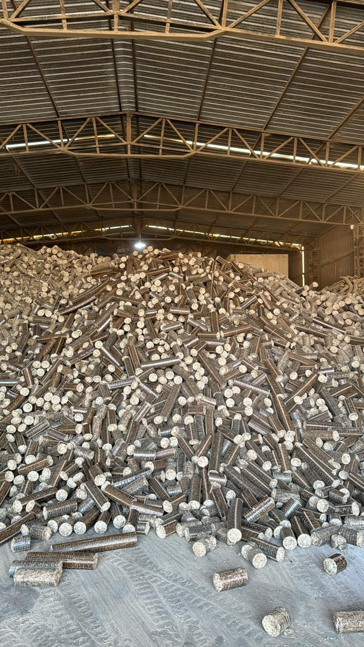  Biocoal                                                              
