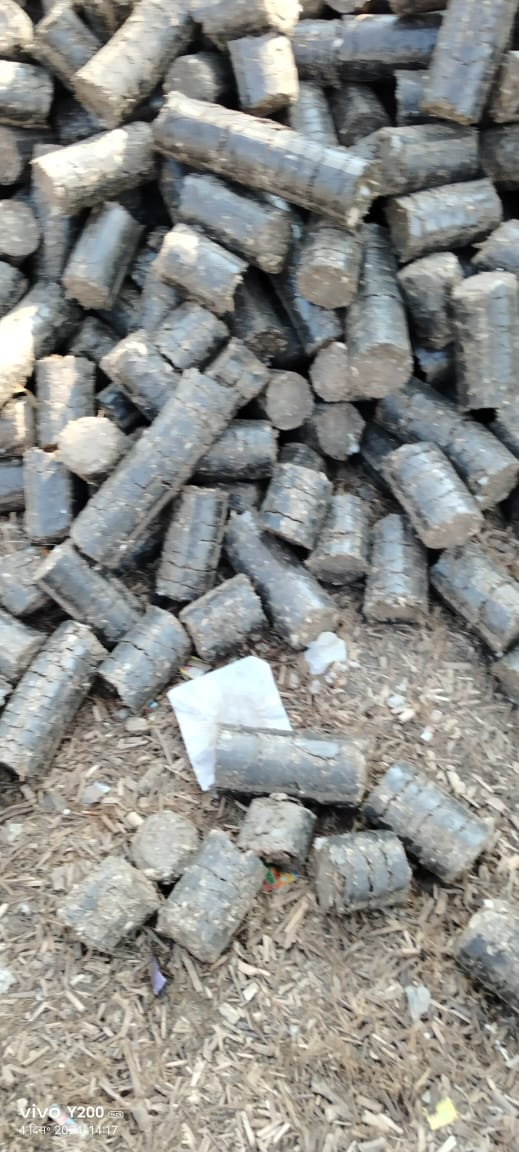  Biocoal                                                              
