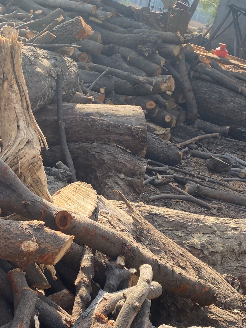 Wood for sale