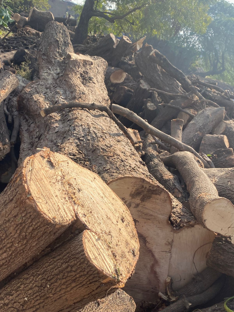 Wood for sale