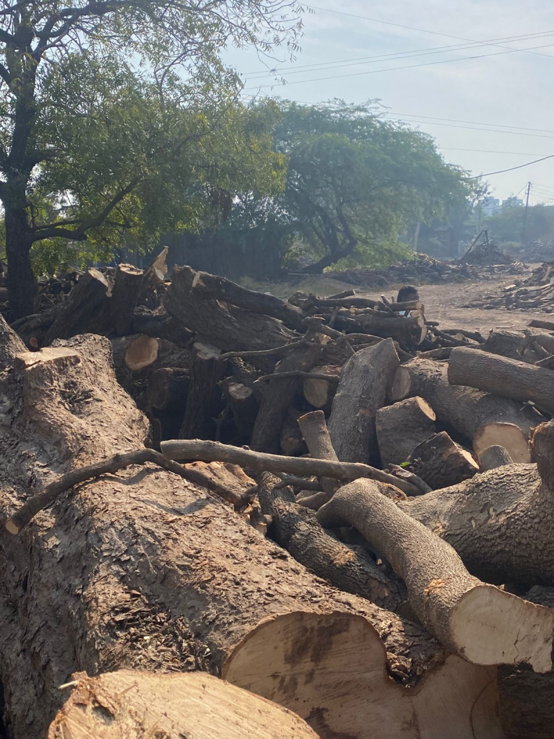 Wood for sale