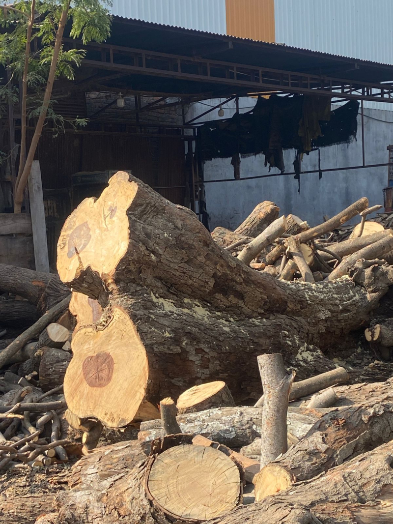 Wood for sale