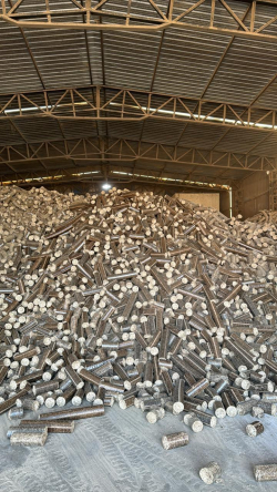  Biocoal                                                              