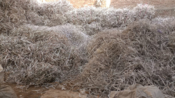 Raffia Katta, Kan Patti Sutli & Raffia Gulla for Sale