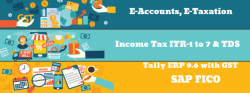 The Evolving Role of Accountants: Why Learning Accounting in 2025 Matters, 100% Job, Accounting Course in Delhi, 110016 - Free SAP FICO Certification 